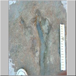 MVC-013S (2000a3) mod.JPG